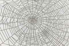 klein-M_G-1330_Eric-Tschernow